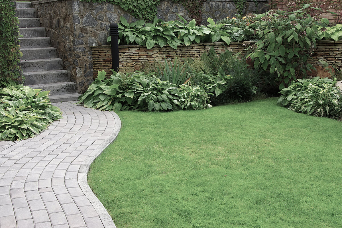 Welcome to WR Landscaping